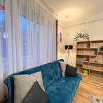 Rent 1 bedroom apartment of 33 m² in Brno