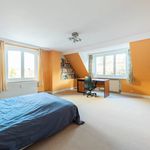 Rent 8 bedroom house of 575 m² in Elsene