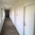 Rent 1 bedroom apartment of 45 m² in Megen