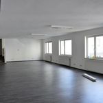 Rent 1 bedroom apartment of 175 m² in Linz