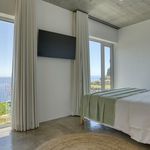 Rent 1 bedroom house of 34 m² in Calheta