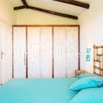 Rent 1 bedroom apartment of 50 m² in Arzachena