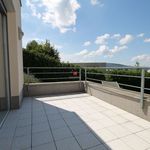 Rent 1 bedroom house of 270 m² in Brno