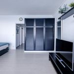 Rent 1 bedroom apartment of 60 m² in La Mata