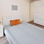 Wynajmij 2 sypialnię apartament z 43 m² w Siemianowice Śląskie
