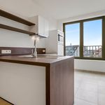 Rent 1 bedroom house of 63 m² in Deinze