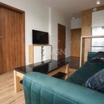 Rent 2 bedroom apartment of 30 m² in Konin