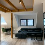 Rent 2 bedroom apartment of 60 m² in Düsseldorf