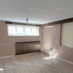 Rent 4 bedroom house of 132 m² in Budapest