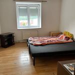 Rent 1 bedroom apartment in Kvasiny