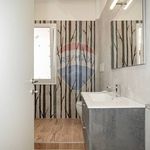 Rent 2 bedroom apartment of 70 m² in Catania