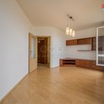Rent 2 bedroom apartment in Praha 4