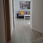Rent 2 bedroom apartment of 59 m² in Warszawa