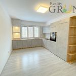 Rent 1 bedroom apartment of 55 m² in Karviná