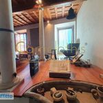 Affitto 6 camera appartamento di 250 m² in Firenze