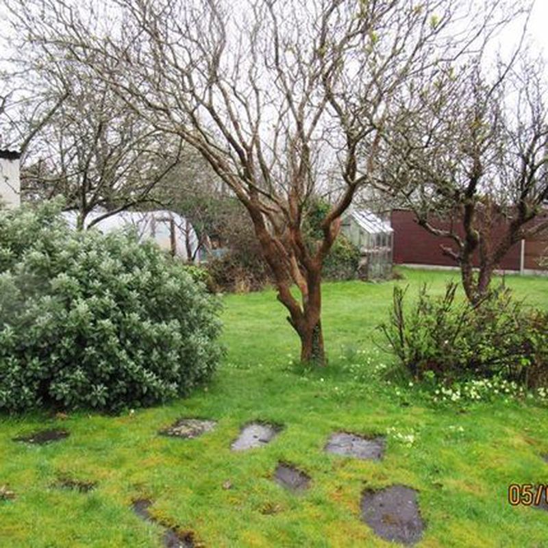 Cottage to rent in Dyffryn Ardudwy LL44