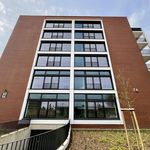 Rent 2 bedroom apartment of 130 m² in Bremen