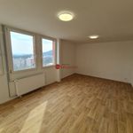 Rent 1 bedroom apartment of 35 m² in Teplice