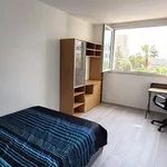 Appartement de 10 m² avec 1 chambre(s) en location à Nice