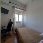 Rent a room of 90 m² in Venda Nova