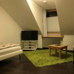 Rent 1 bedroom apartment of 35 m² in München