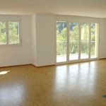 Rent 5 bedroom apartment of 101 m² in Zwingen