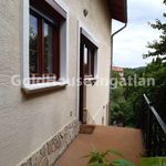 Rent 6 bedroom house of 240 m² in Budapest
