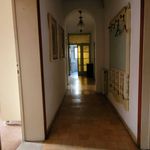 Rent 6 bedroom apartment of 150 m² in Pisa