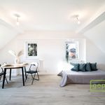 Rent 1 bedroom apartment of 27 m² in Liberec