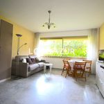 Rent 1 bedroom apartment of 34 m² in Juan-les-Pins