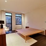 Huur 3 slaapkamer appartement van 210 m² in Ixelles