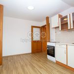 Rent 1 bedroom apartment of 40 m² in Jindřichův Hradec