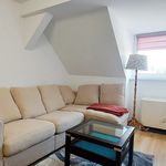 Wynajmij 3 sypialnię apartament z 43 m² w Szczecin