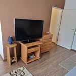 Rent 1 bedroom apartment of 34 m² in Konice