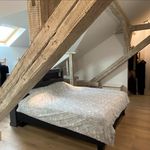 Rent 3 bedroom apartment of 90 m² in Strasbourg
