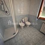 Rent 5 bedroom house of 140 m² in Forte dei Marmi
