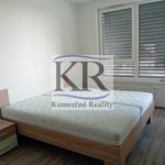 Rent 2 bedroom apartment of 53 m² in Číhošť