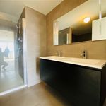 Rent 1 bedroom apartment of 80 m² in   BRUXELLES