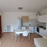 Rent 2 bedroom apartment of 55 m² in Viadana