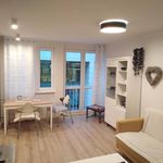 Rent 1 bedroom apartment of 45 m² in Wrocław
