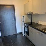 Rent 1 bedroom apartment of 35 m² in GHISONACCIA