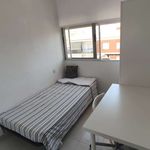 Rent a room in Alberic