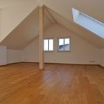 Miete 3 Schlafzimmer wohnung von 121 m² in Radebeul