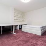 Pronajměte si 5 ložnic/e byt o rozloze 210 m² v Jáchymov