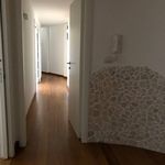 Rent 5 bedroom apartment of 200 m² in Brindisi