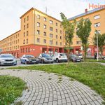 Rent 1 bedroom apartment of 27 m² in Havířov
