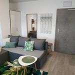 Wynajmij 1 sypialnię apartament z 26 m² w Krośniewice