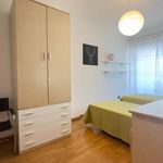 Rent 2 bedroom apartment of 70 m² in Jesolo