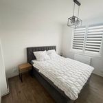 Rent 3 bedroom apartment of 68 m² in Třebohostice