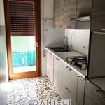 Rent 5 bedroom apartment of 115 m² in Padova